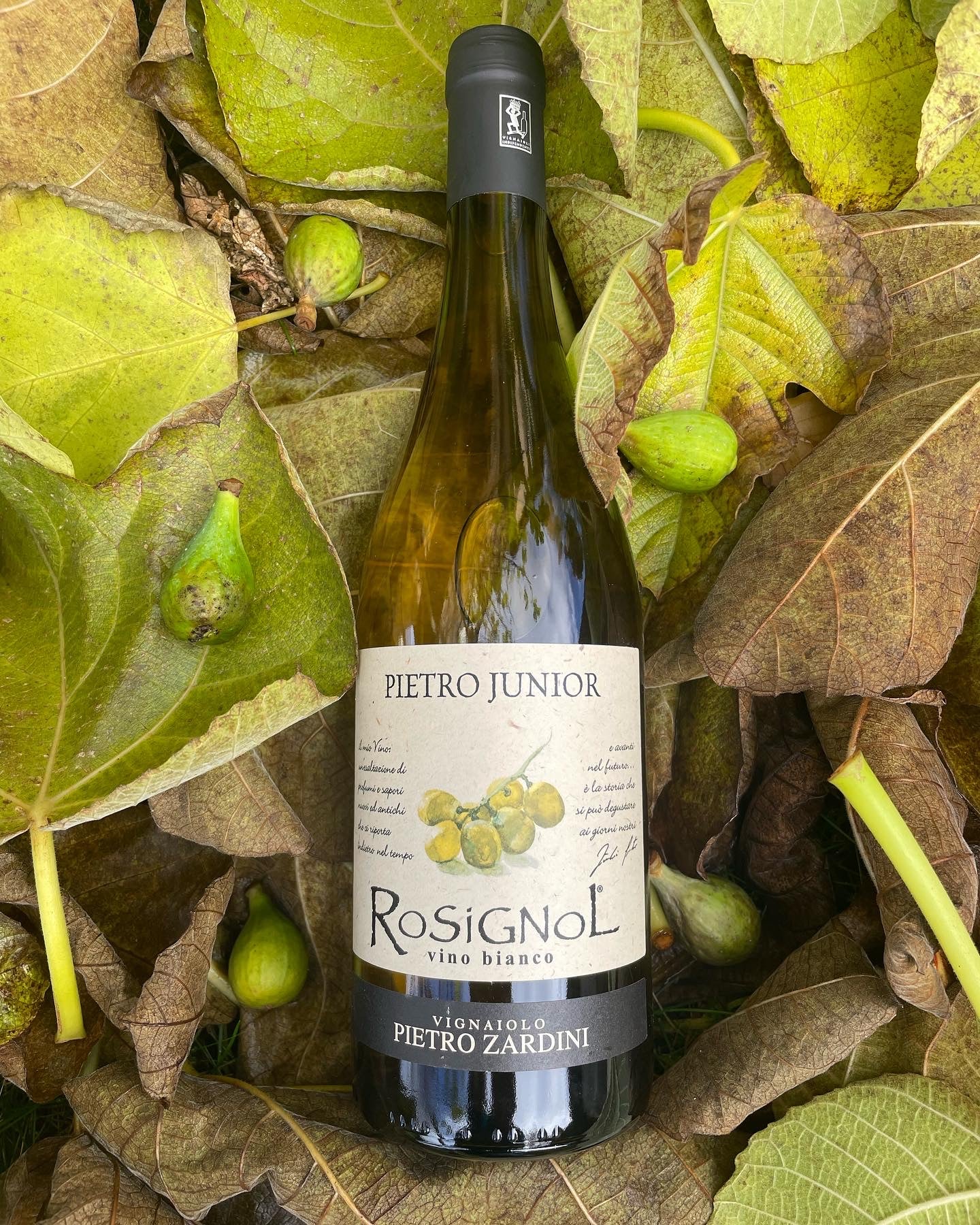 Pietro Junior Rosignol Vino Blanco