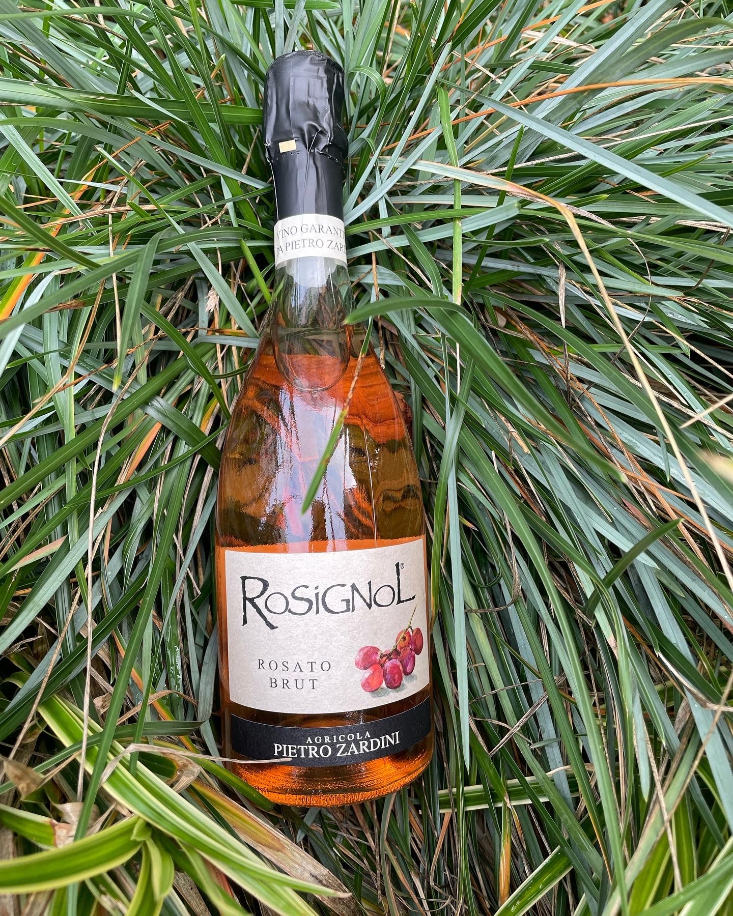 Pietro Zardini Rosignol Rosato Brut